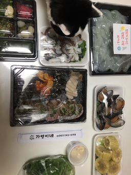 가영이네횟집 대표 사진