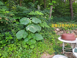 왕릉식당 사진 2