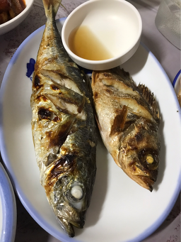 물보라다찌 사진 3
