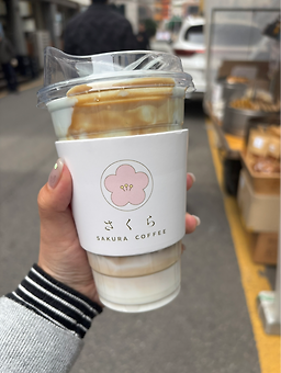 사쿠라커피