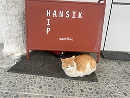 힙한식 사진 7