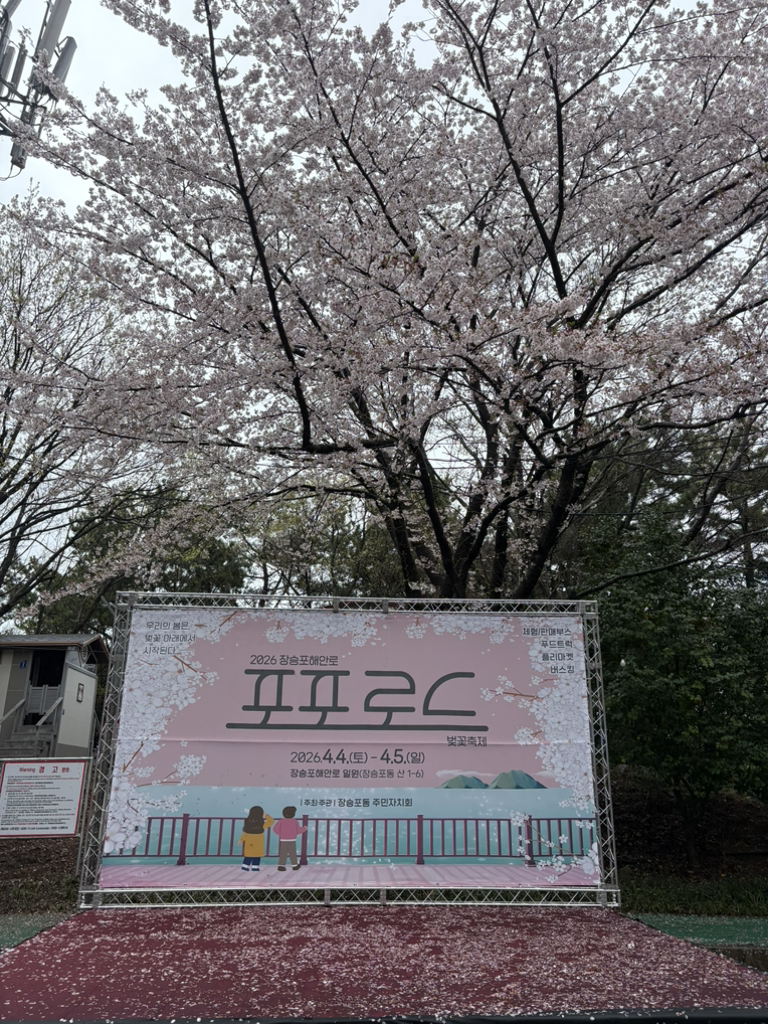 모네미소 사진 3