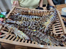 대영황태세상 사진 2