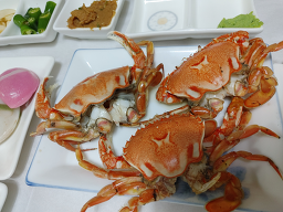 바닷가횟집 사진 3