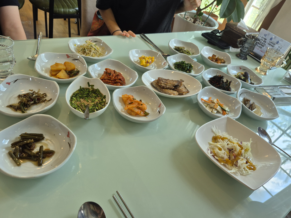 다솔숲 사진 4