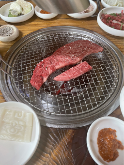송하원 사진 2