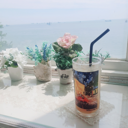 힐링하우스