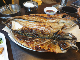 털보고된이 연신내직영점 사진 4
