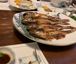 송죽 대표 사진
