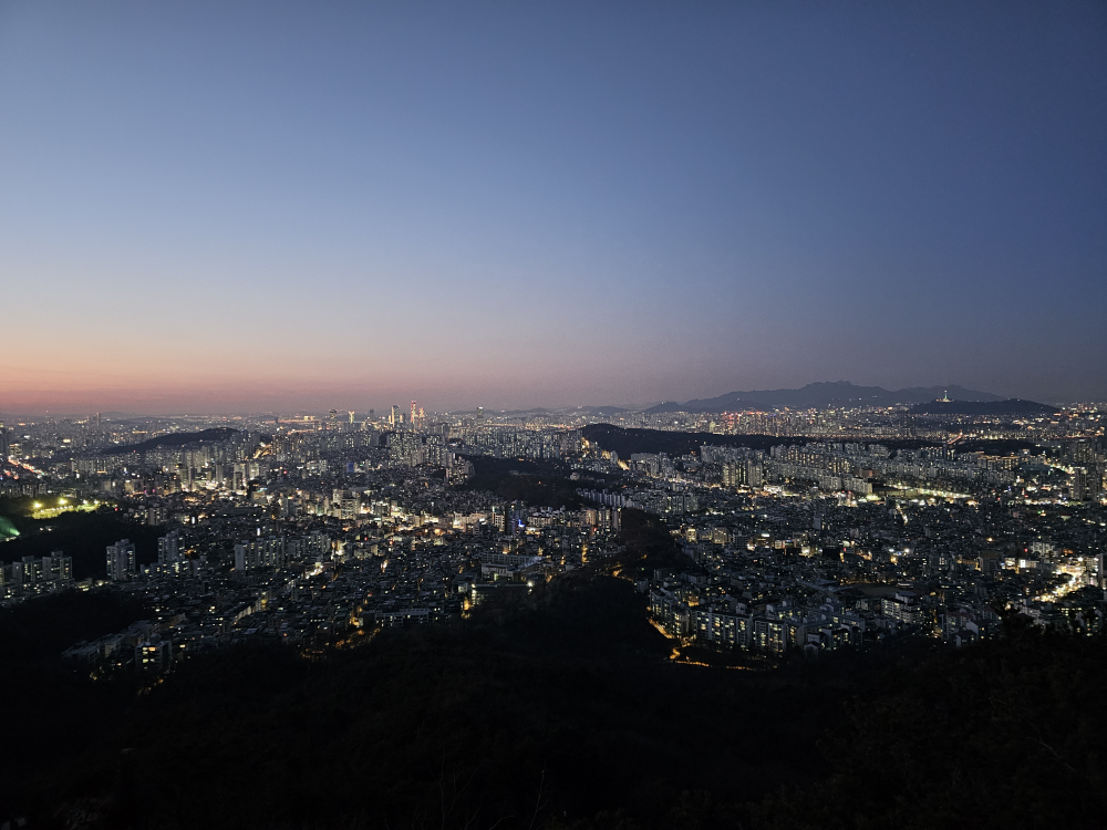 오븐에빠진닭 서울대입구점 사진 6