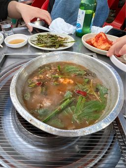 다도서귀포 대표 사진