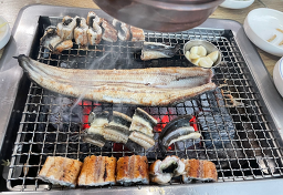 여자만 장어 사진 2