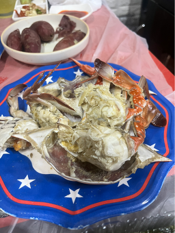 가미섬 사진 8