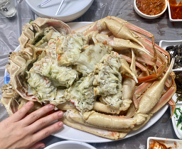 북해도회도매센터 사진 5