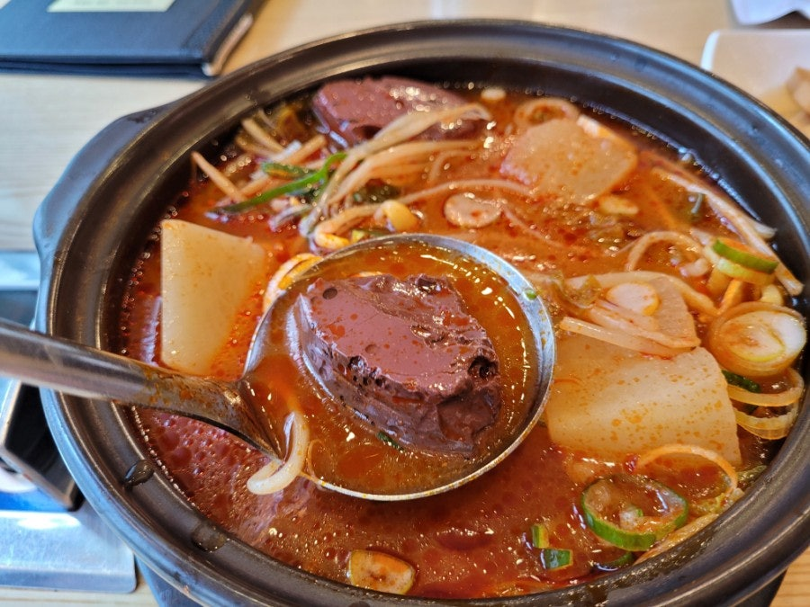 영남돼지 사진 2