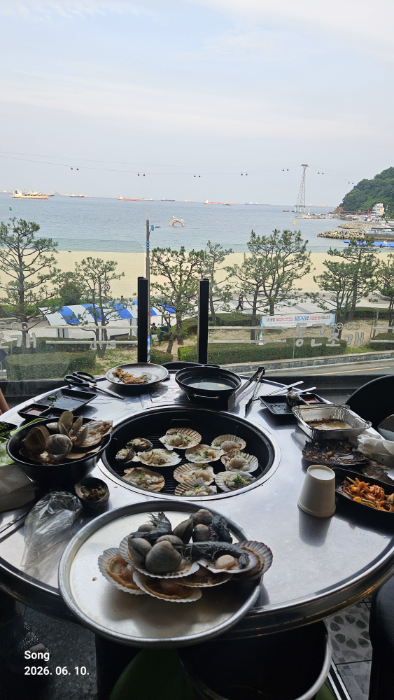 송도통큰조개 사진 3