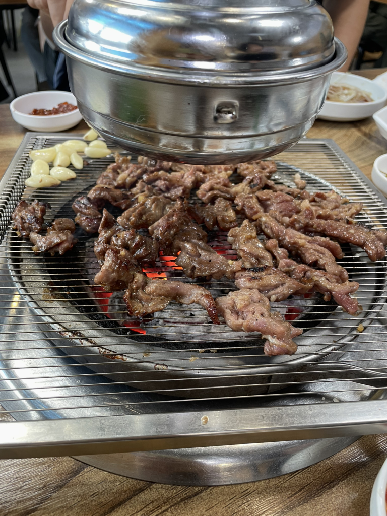 부산갈매기 사진 2