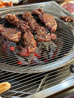 부산갈매기 사진 8