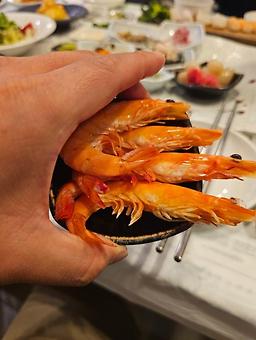 경포동해횟집 사진 7