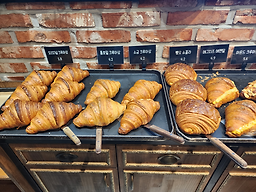 빠리당 사진 2