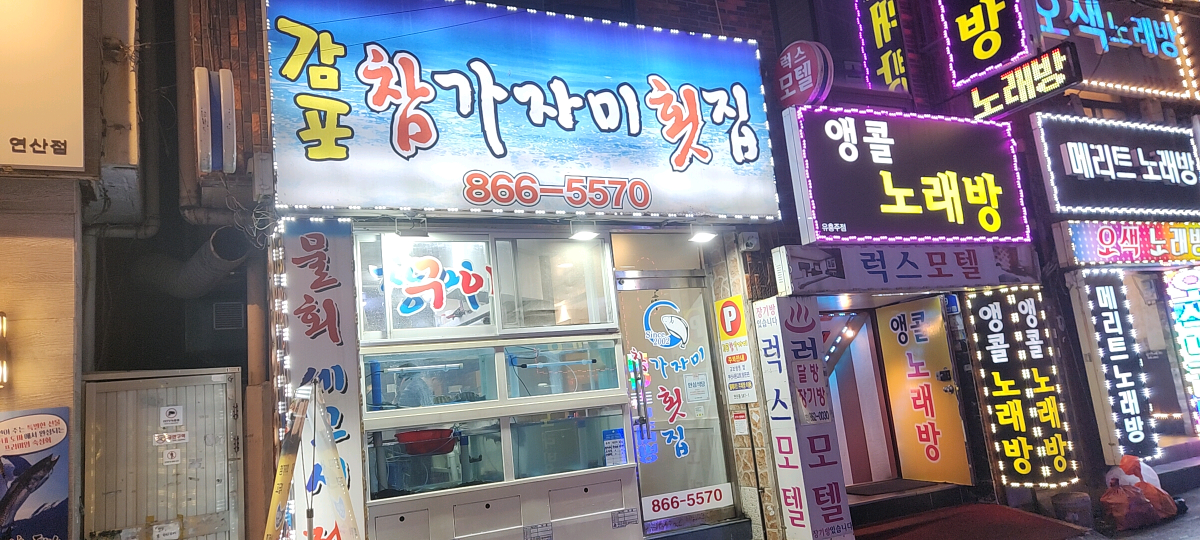 감포참가자미횟집 대표 사진