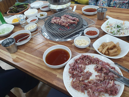 부산갈매기 사진 5