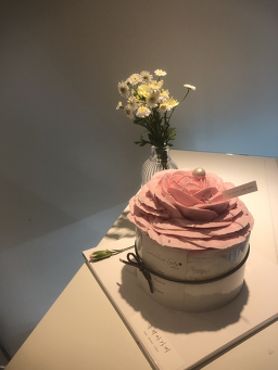 동백아가씨 사진 5