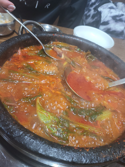 다우다미 대표 사진