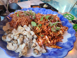 오션2015 대표 사진