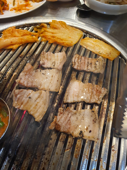 백수농원 사진 5