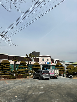 복오네 사진 8