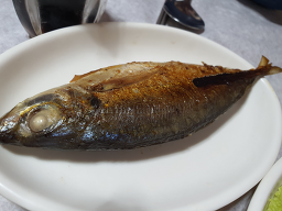 동광횟집 사진 8