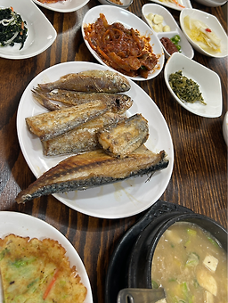 해바라기 사진 4