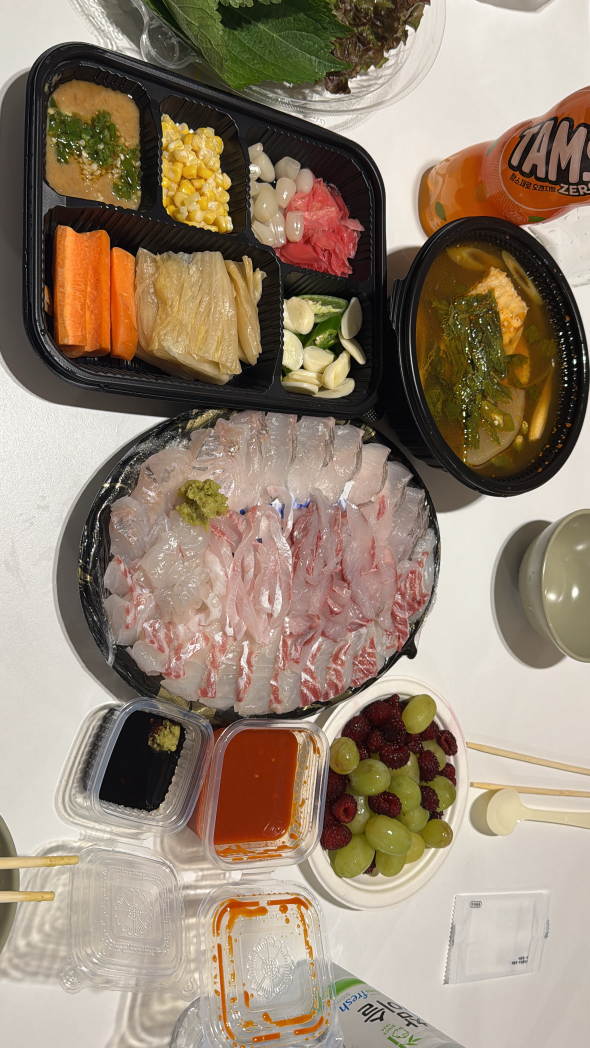 돌고래 사진 6