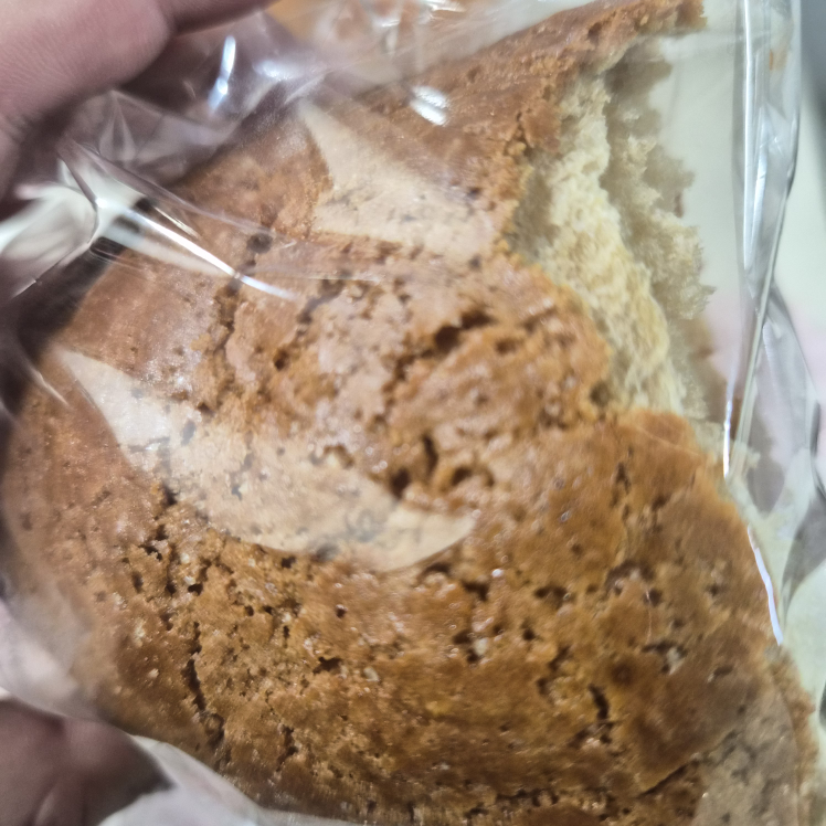 메종드콘 사진 3