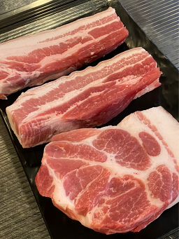 제주백돈 사진 3