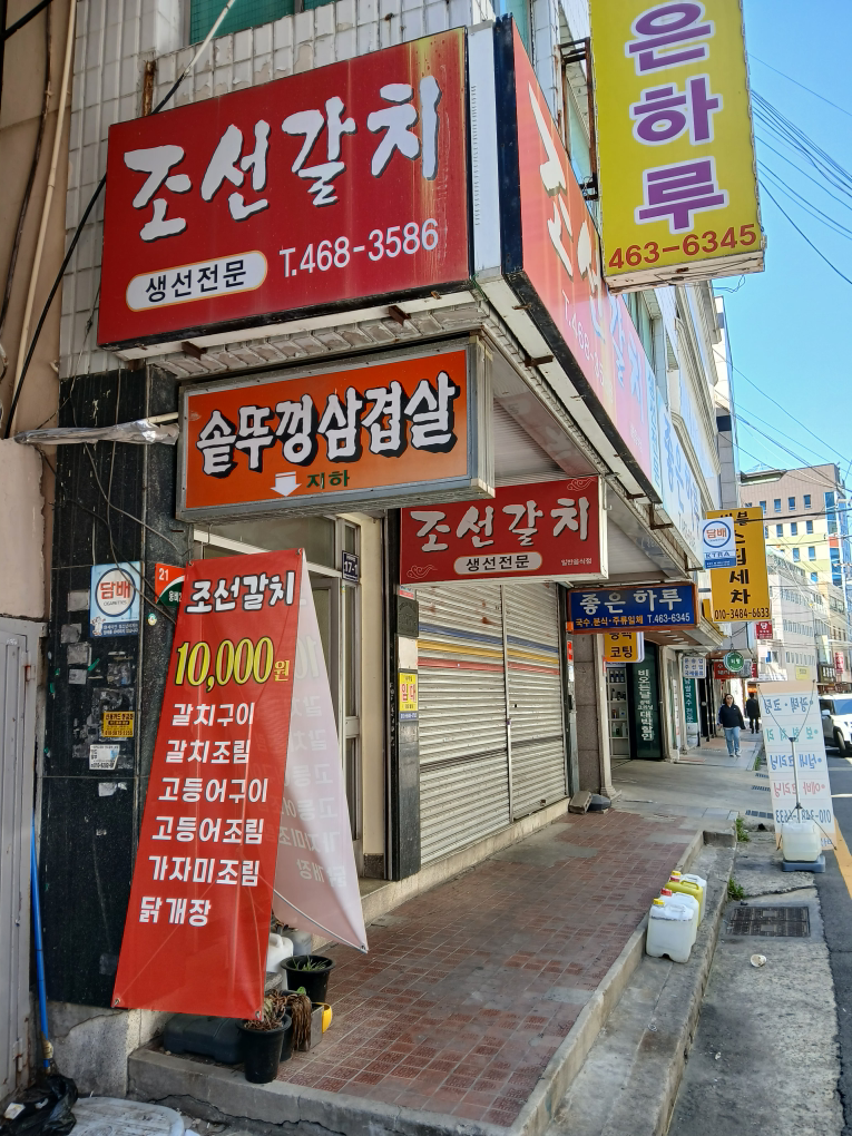 조선갈치 사진 3