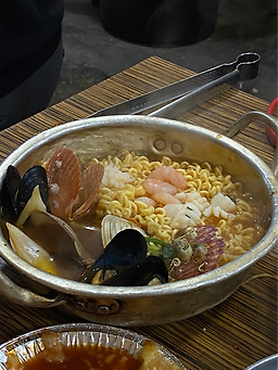 갈매기 사진 3