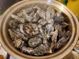밤바다 사진 8