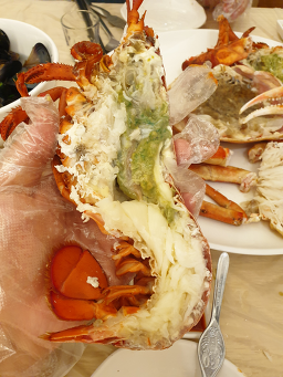 송현대게 사진 8