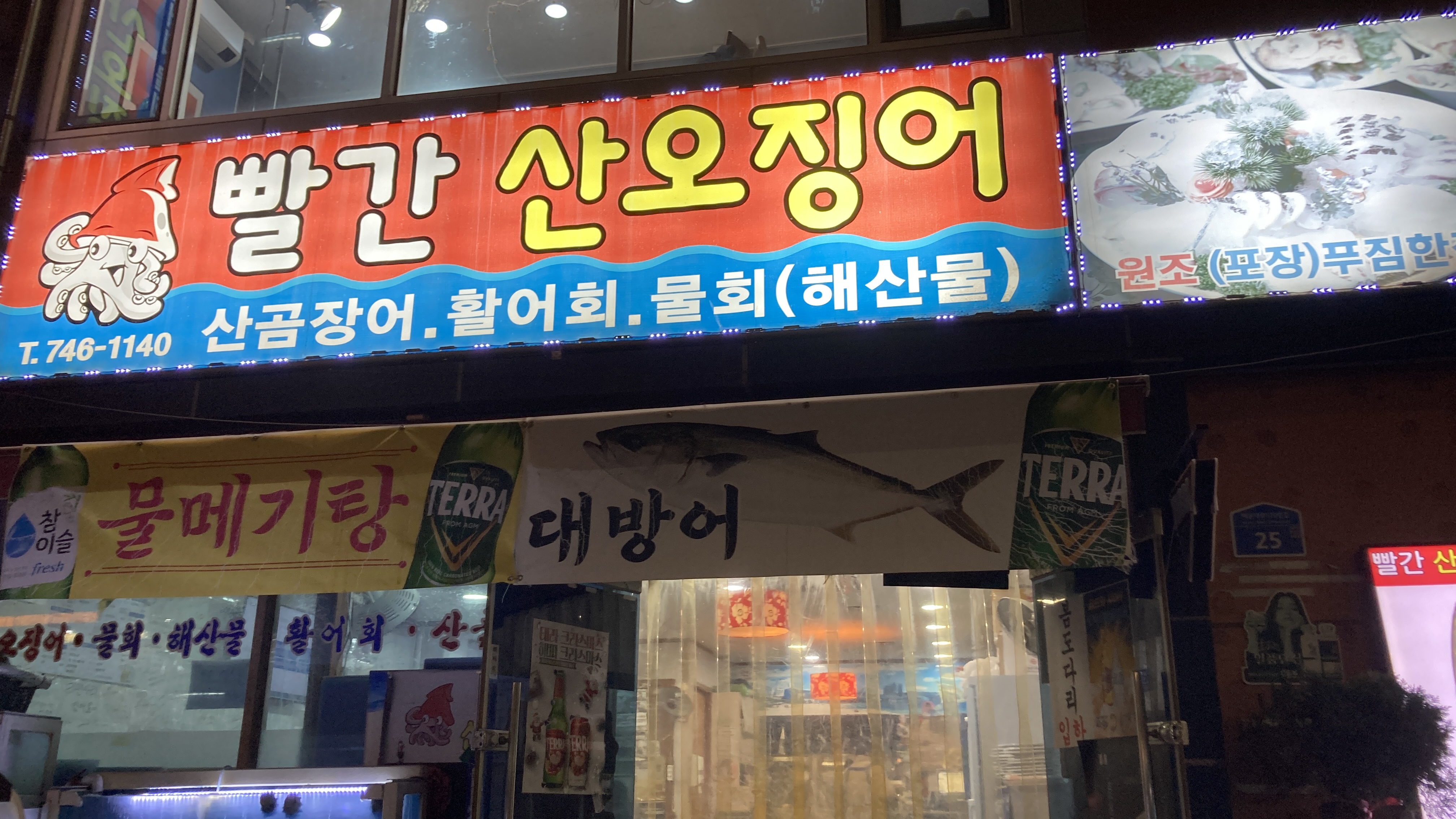 빨간산오징어 사진 7