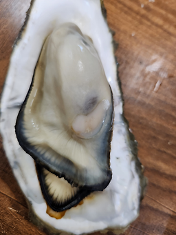 하청굴구이마당 대표 사진