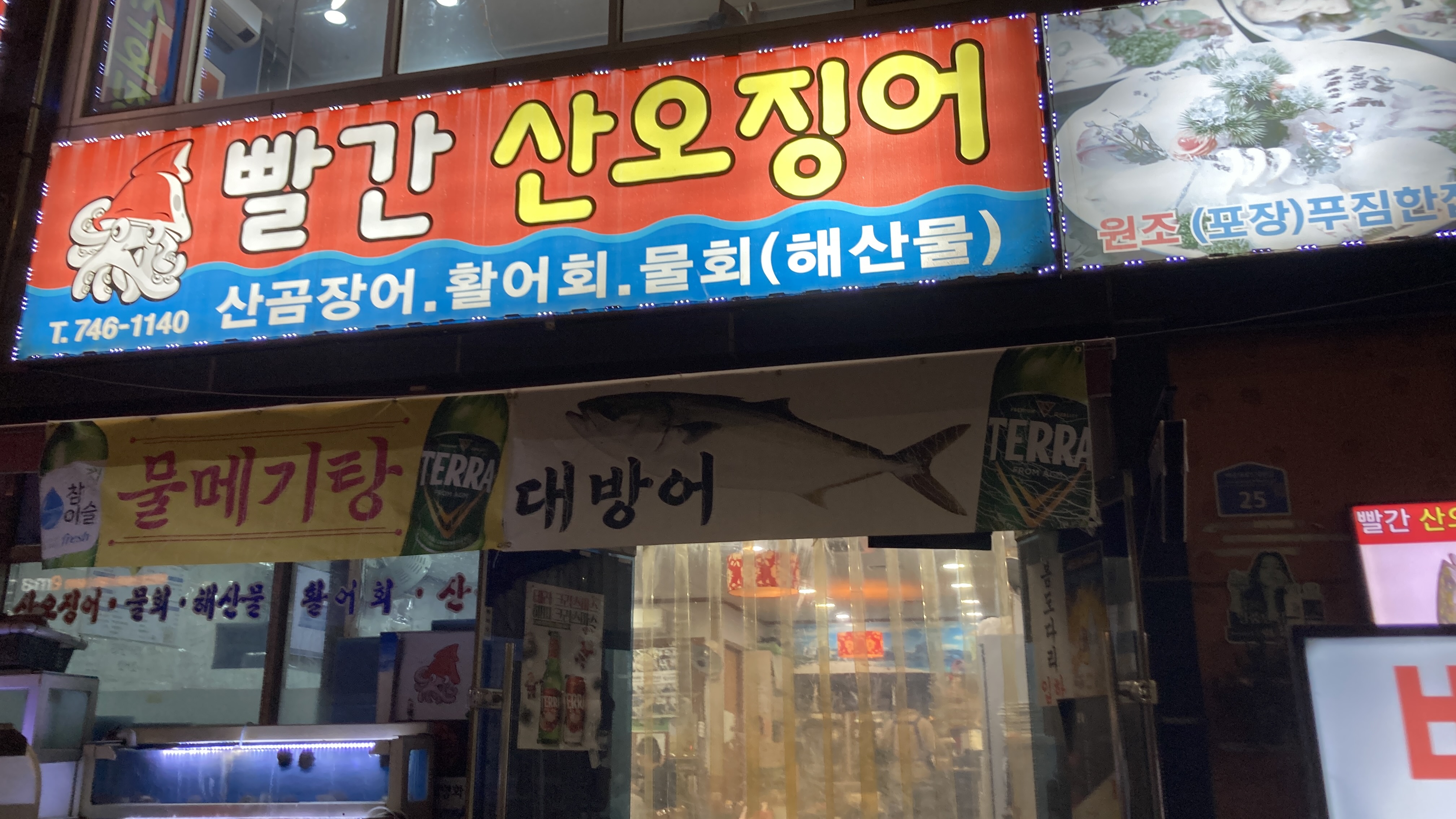 빨간산오징어 사진 5