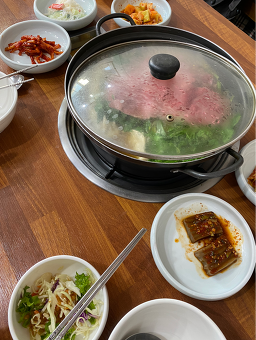 무궁화 사진 5
