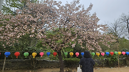 장원식당 사진 6