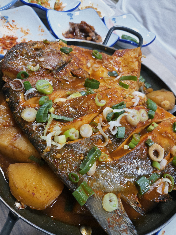 사랑새 사진 6