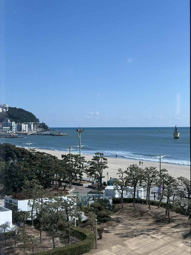 팔레드신 사진 2
