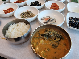 강변장어 사진 6