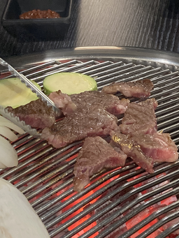 금송아지 사진 4