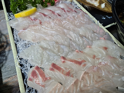 강성물회 회 구이 사진 8